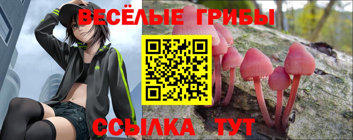 Галлюциногенные грибы мухоморы Зеленокумск